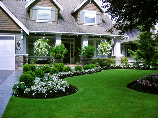 Landscaping Ideas with Black Mulch