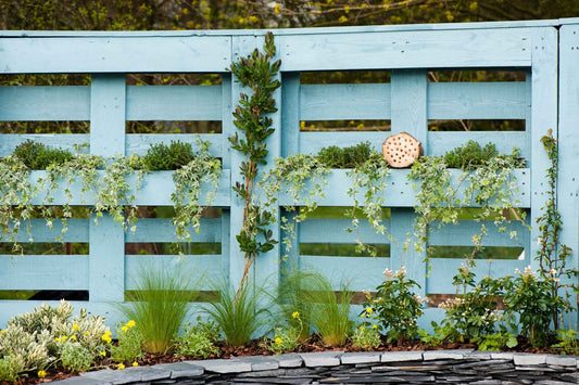 Low Cost Garden Fence Designs