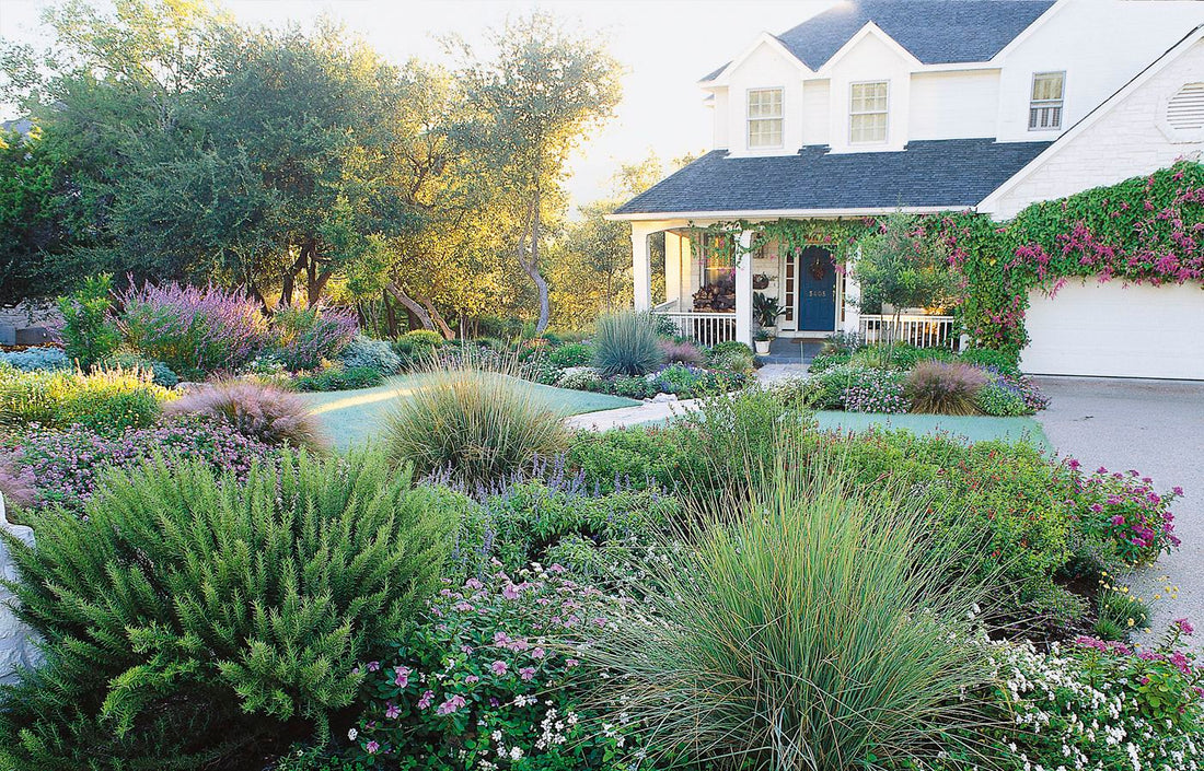 Low Maintenance No Grass Front Yard